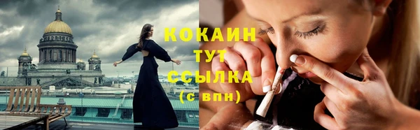 тгк Верея
