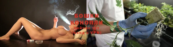 тгк Верея