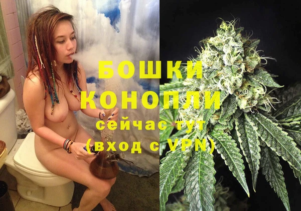 соль ск Верхний Тагил